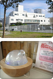 ぶよう整形外科 様